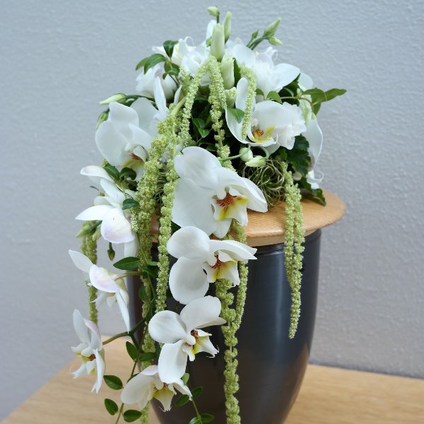 Orchideentraum Bild 1